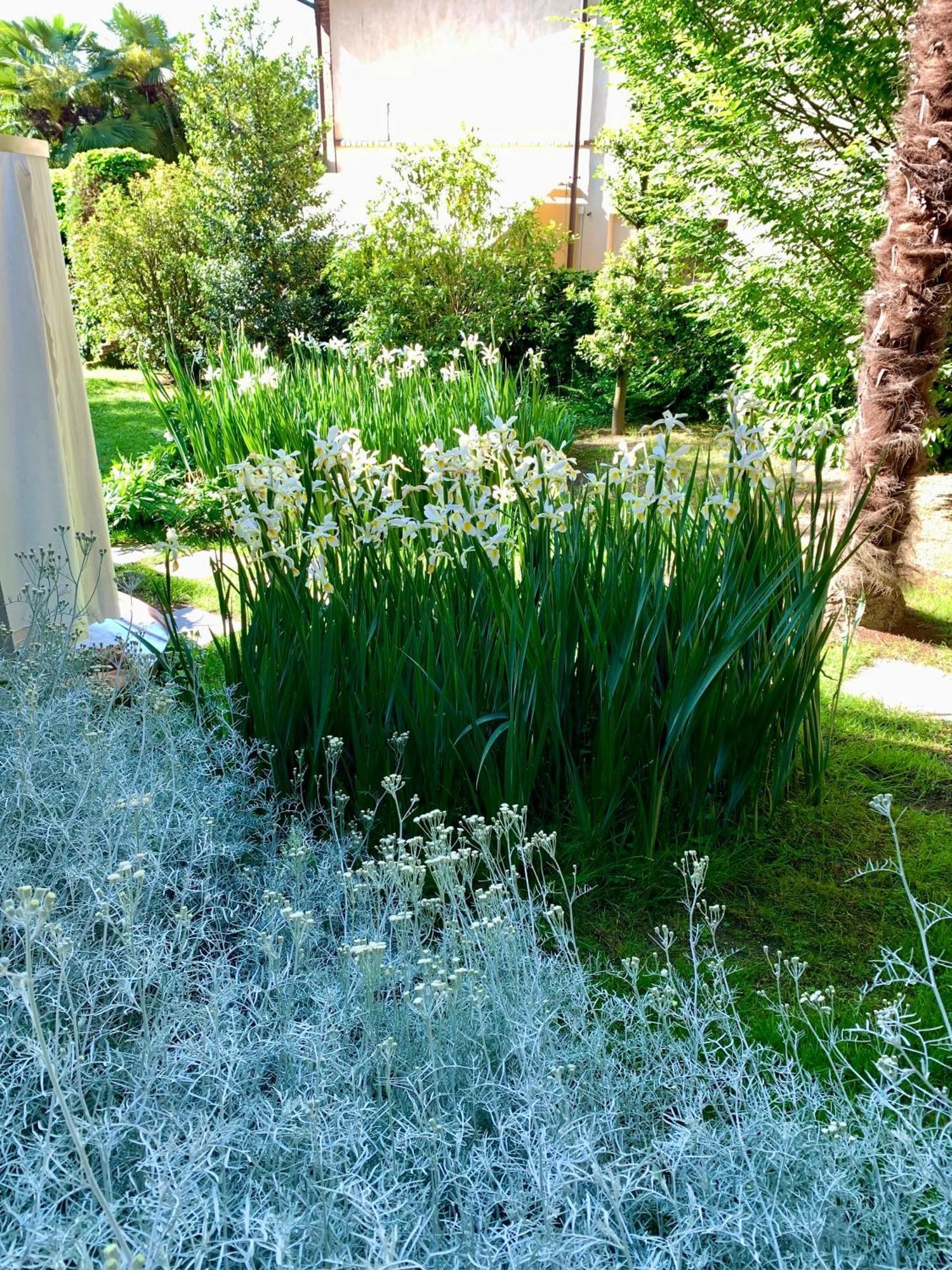 فندق Relax بورغوسيسيا المظهر الخارجي الصورة
